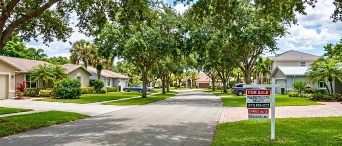 Upscale suburban street with cream homes, mature oak trees, and manicured lawns in Palmetto Bay vs Pinecrest price comparison
